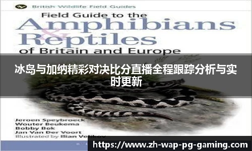 冰岛与加纳精彩对决比分直播全程跟踪分析与实时更新