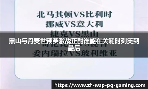 黑山与丹麦世预赛激战正酣谁能在关键时刻笑到最后